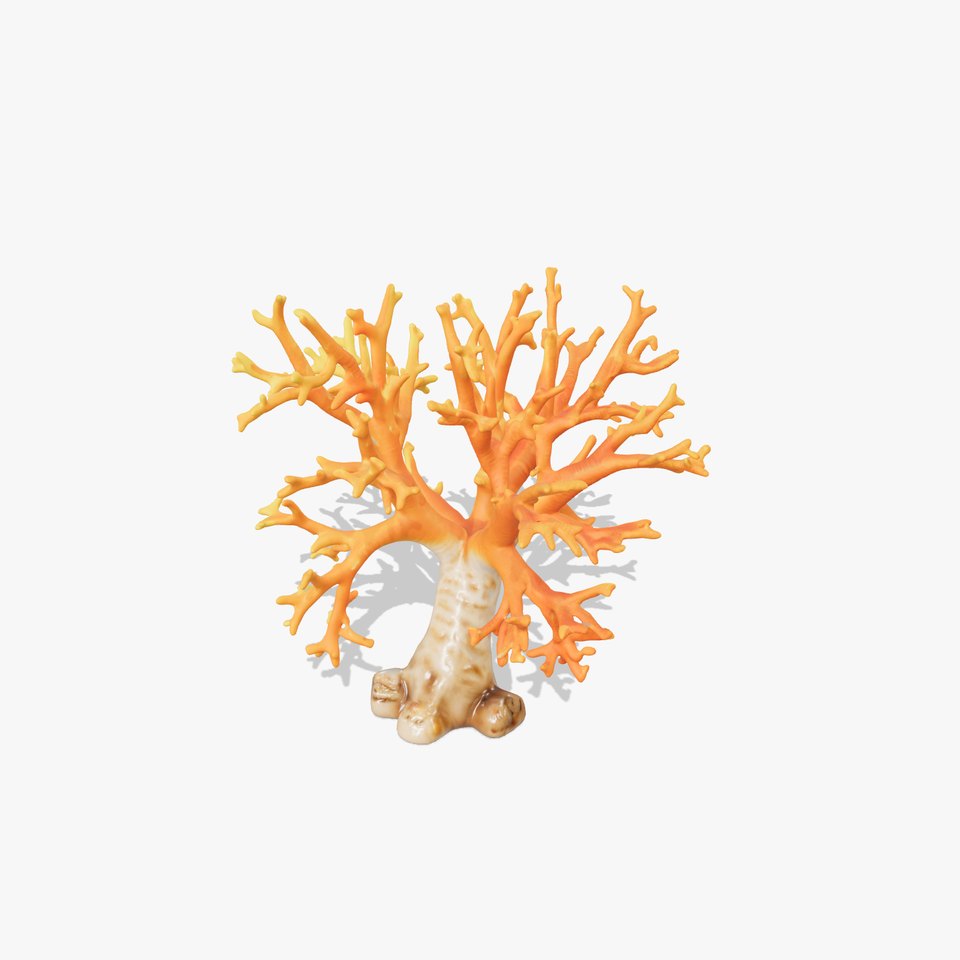 Colorful Coral Reef D Model Pack